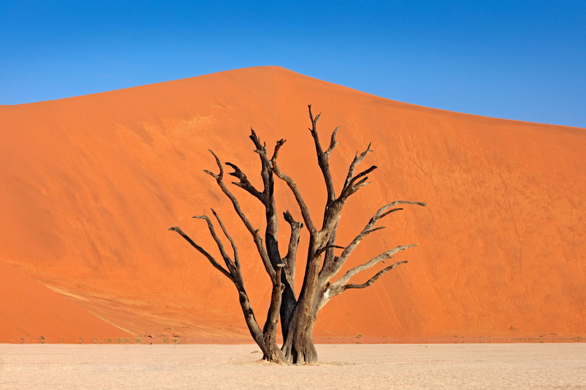 Sossusvlei Deadvlei