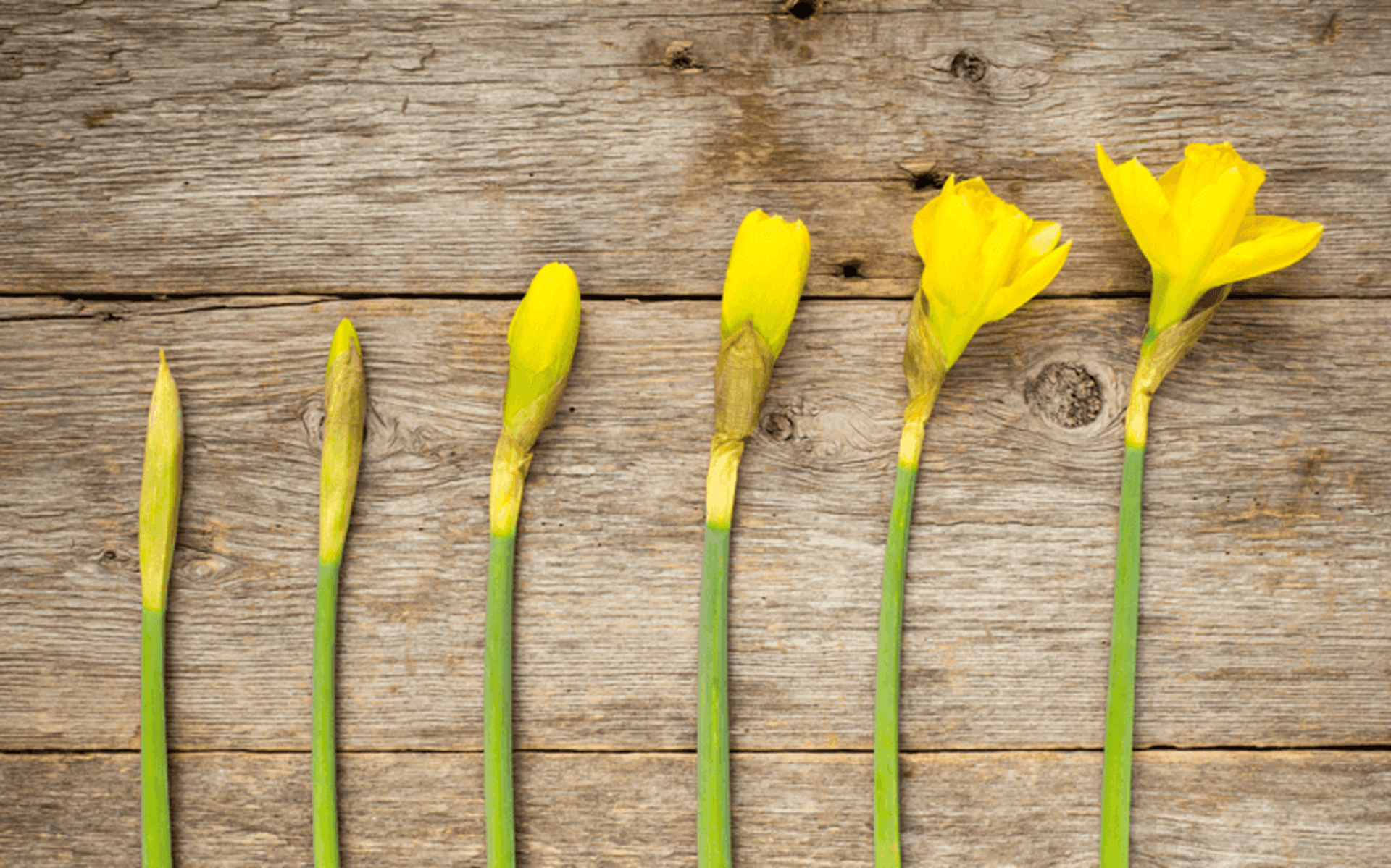 Optimize customer journey stages