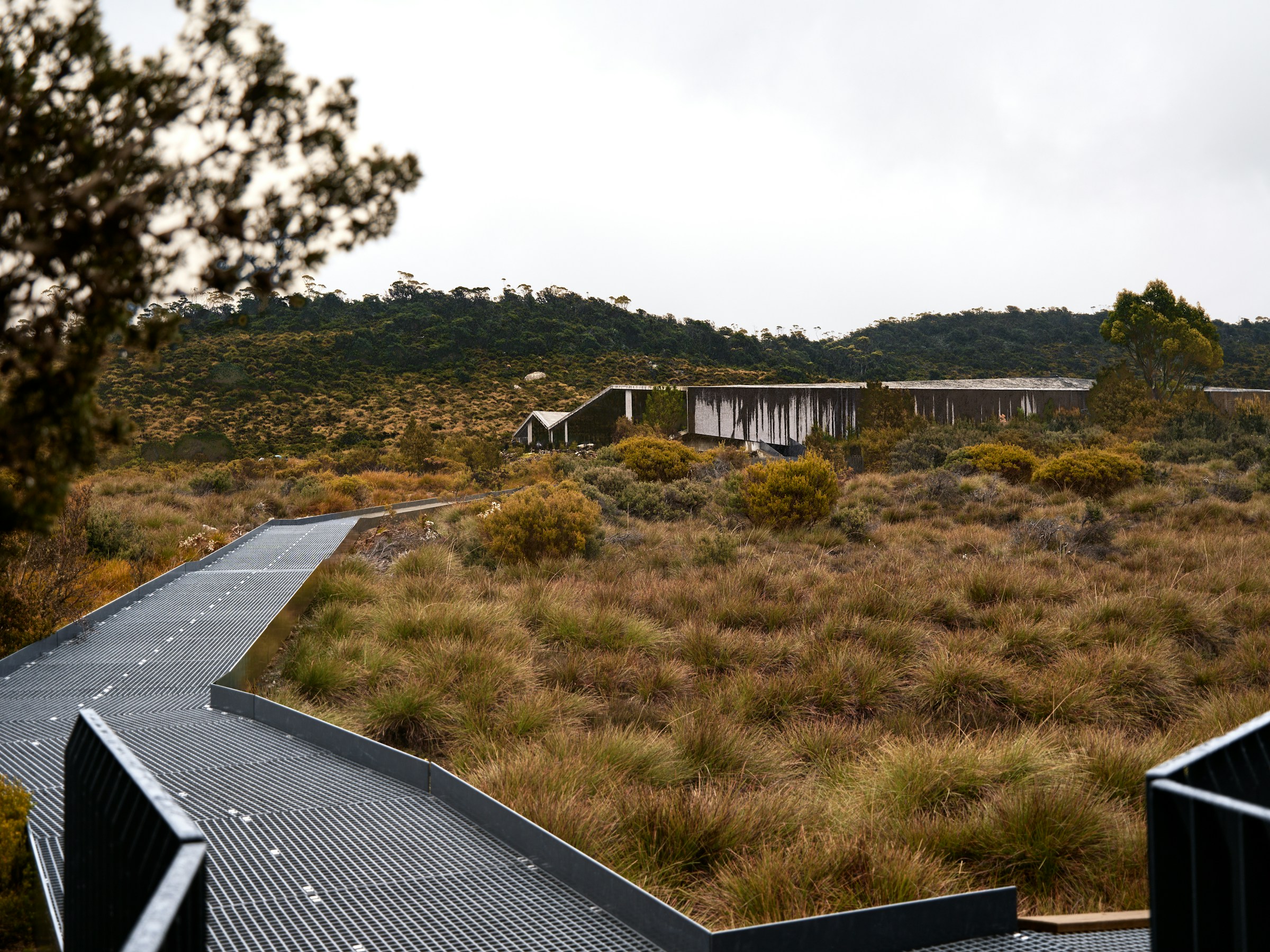 The Ridge landscape