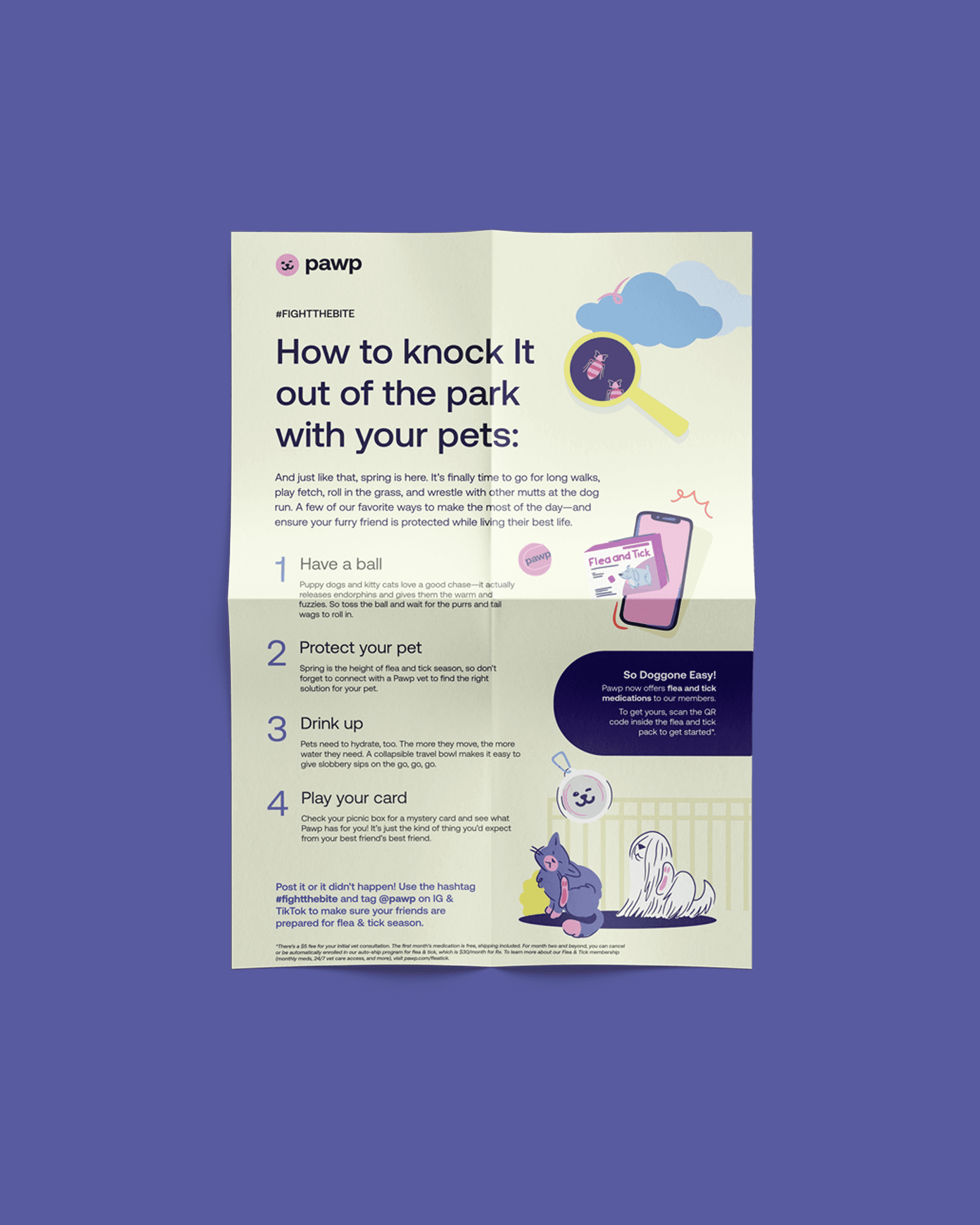 Pawp's Care Over Fear brochure lists four playful tips for flea and tick season, reframing prevention as care rather than a warning.