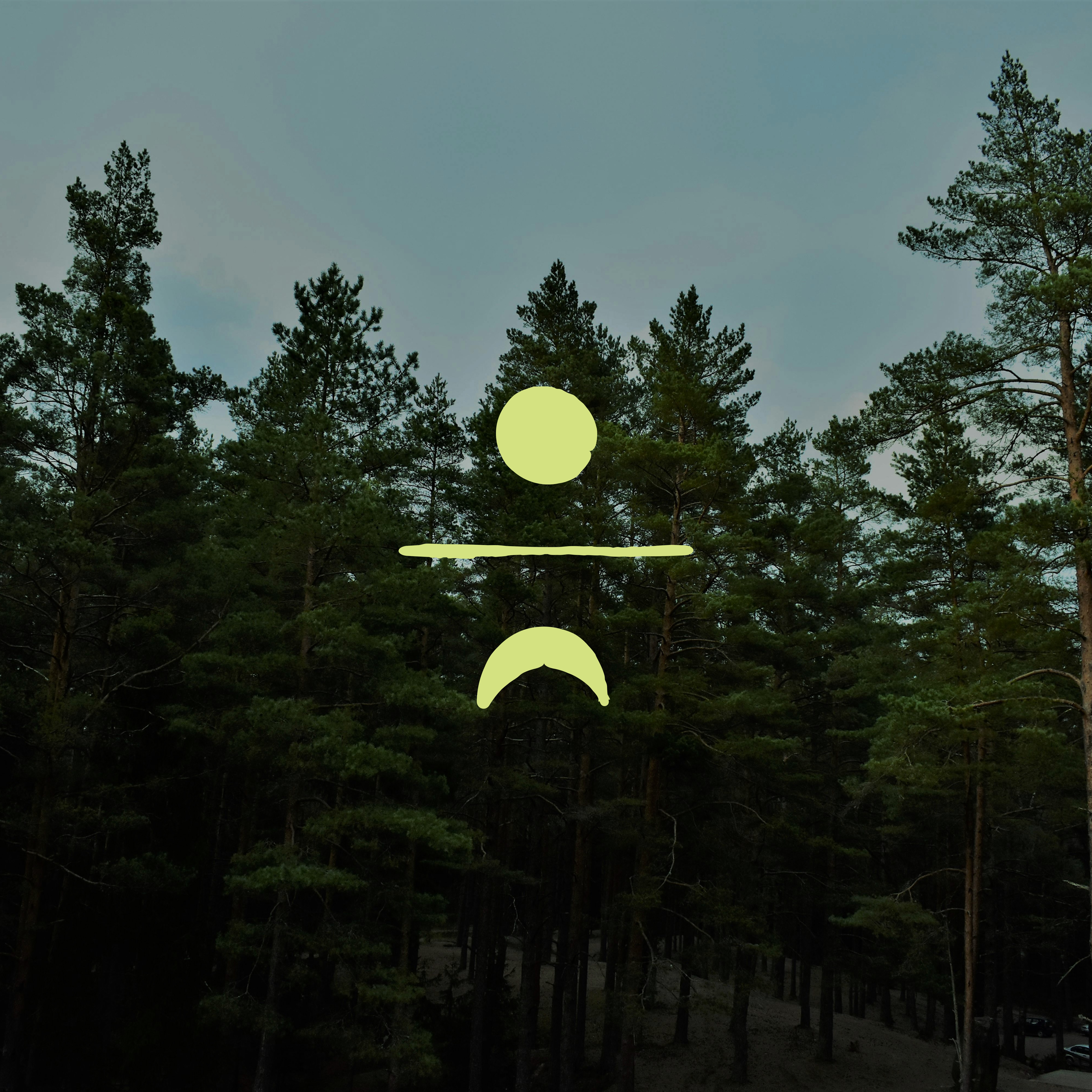 The image featured at the top of the about us page #2