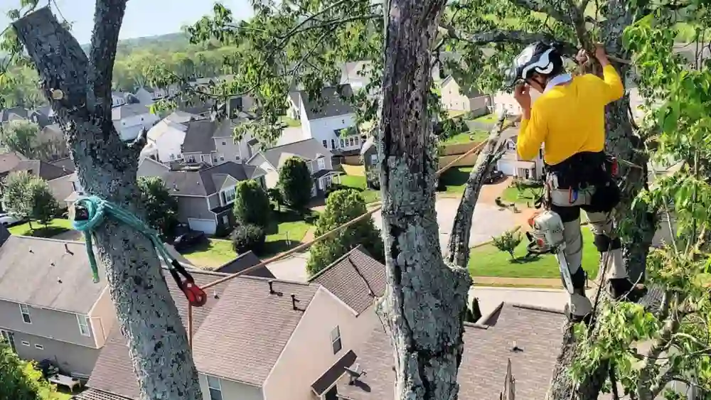 a couple of men standing on top of a roof