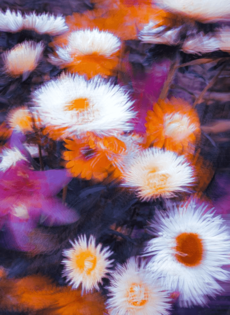 Conceptual illustration of advertising operating within conversational AI decision-making environments