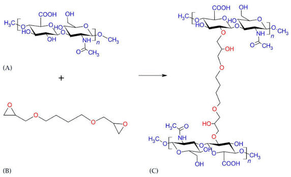 Why Does Hyaluronic Acid Need Cross-Linking?
