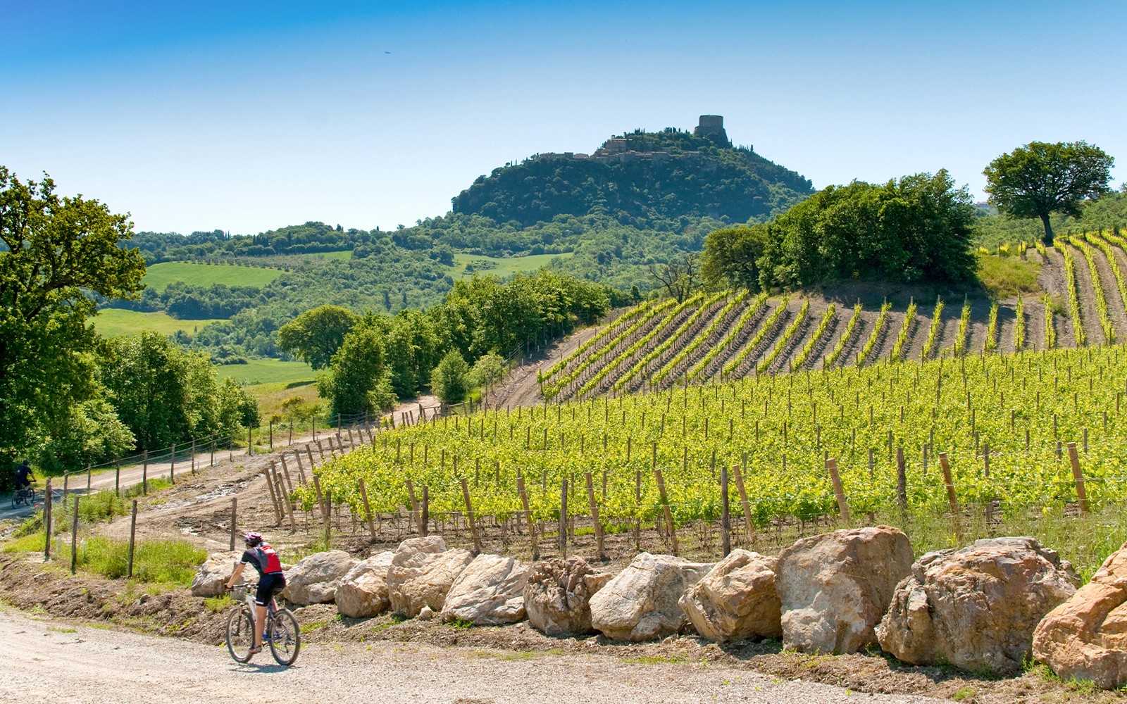 Rowerzyści jeżdżący na rowerach elektrycznych przez malowniczą toskańską wieś z falującymi wzgórzami i winnicami.