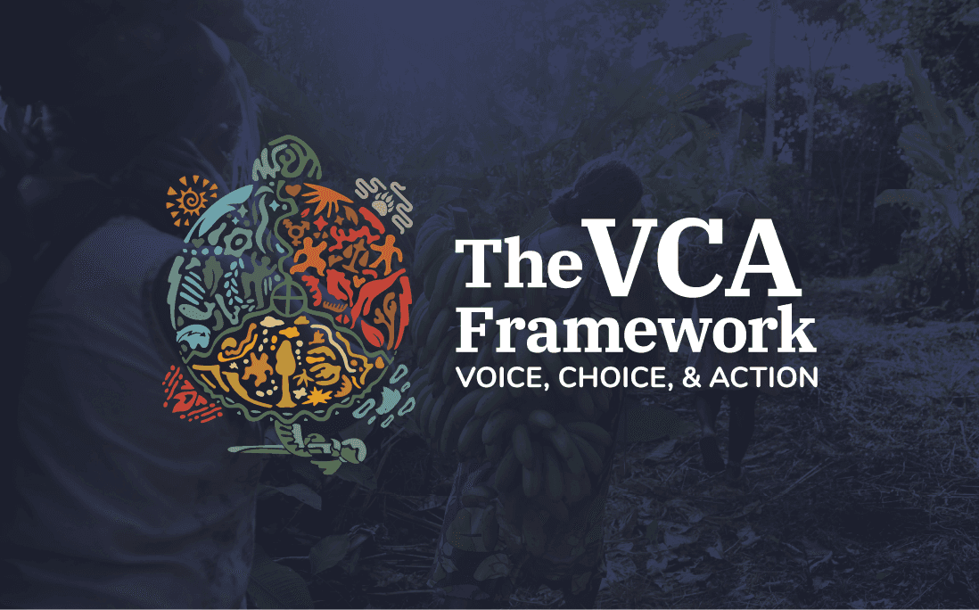 The VCA framerwork over background image