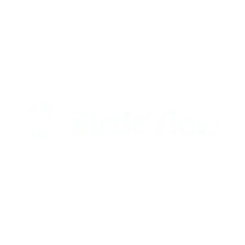 BirdsView Logo