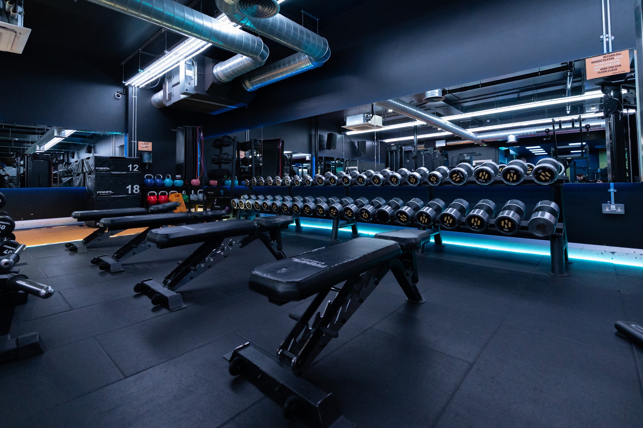 Gym Floor