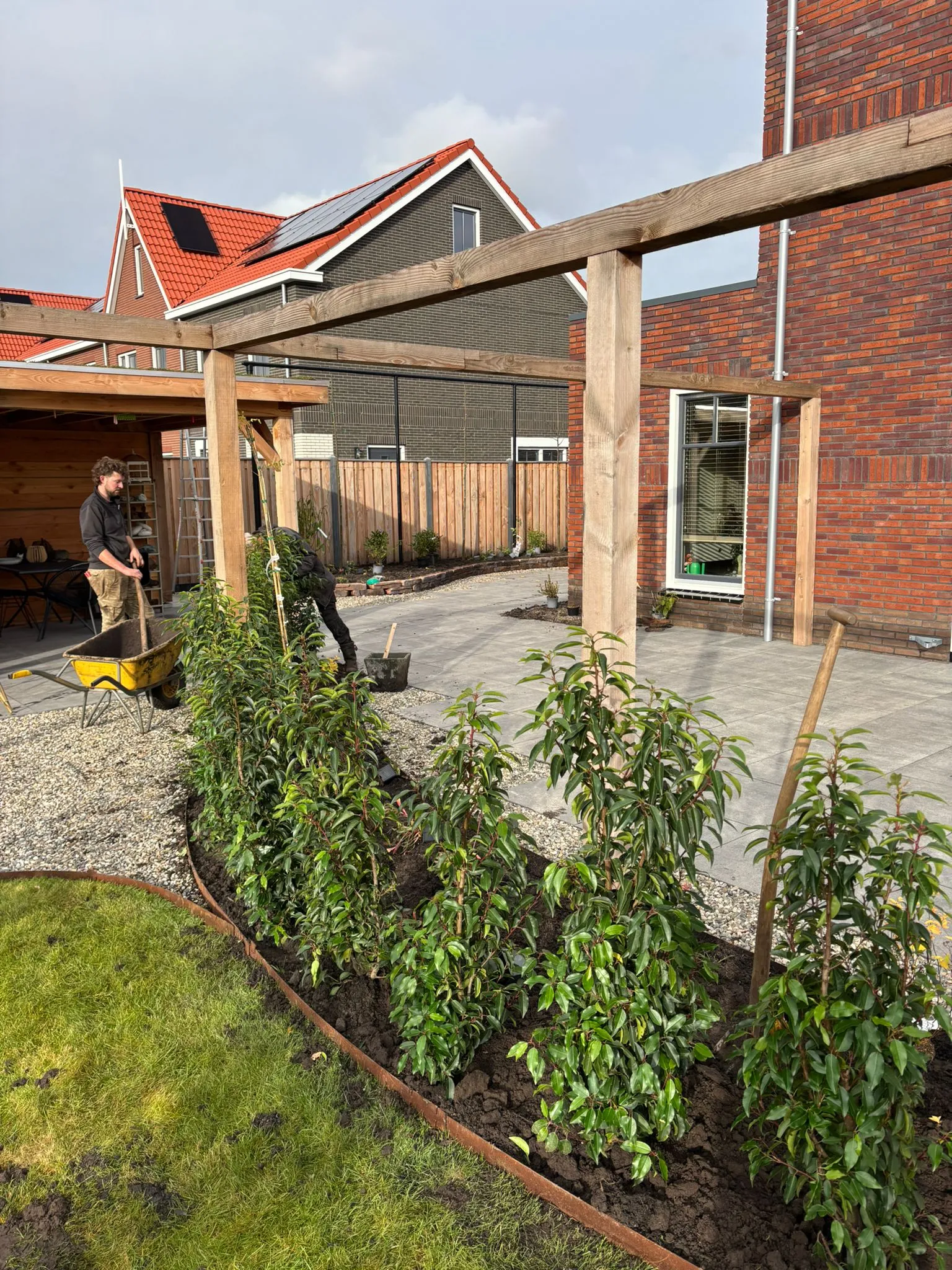 Tuin in aanleg met strak gazon, grindpad en jonge groene hagen, twee hoveniers aan het werk bij nieuwbouwwoning in Gorredijk.
