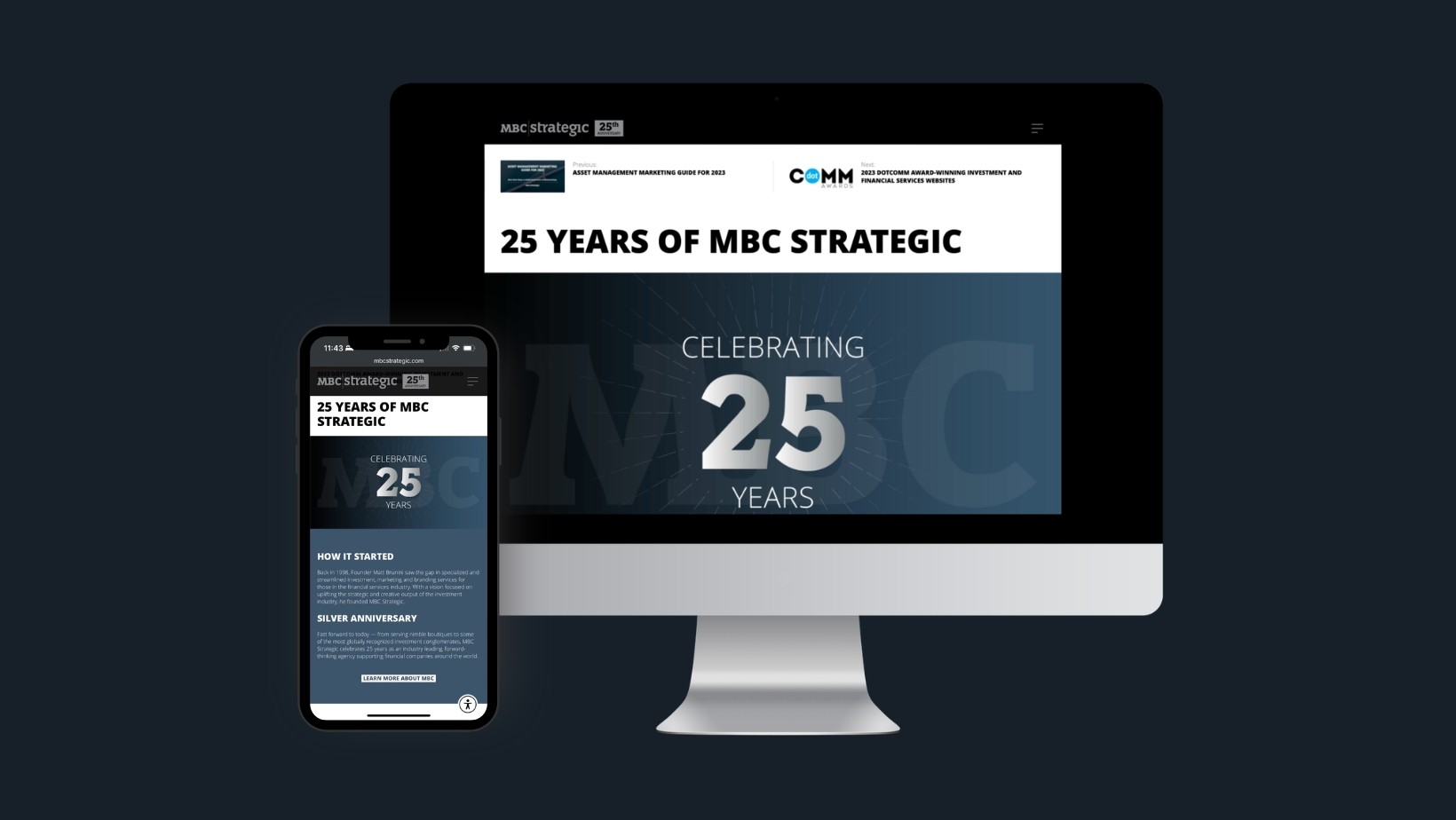 Portfolio project image