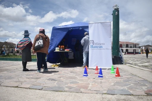 A field of pink flowers and trees