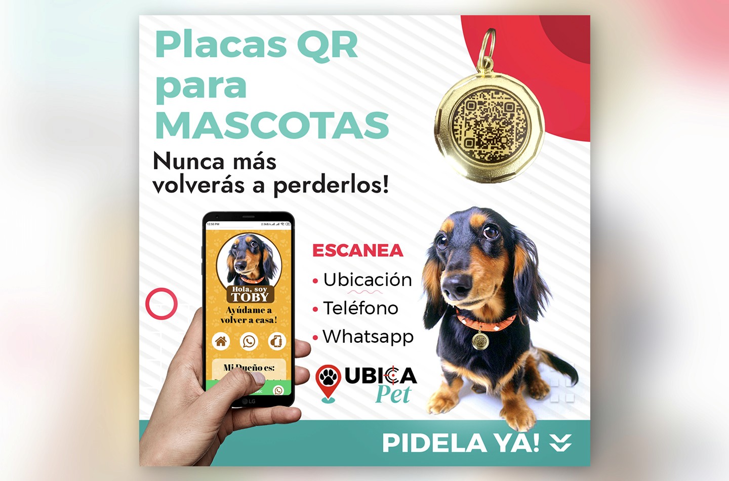 Post Placas Mascotas - Ubicapet