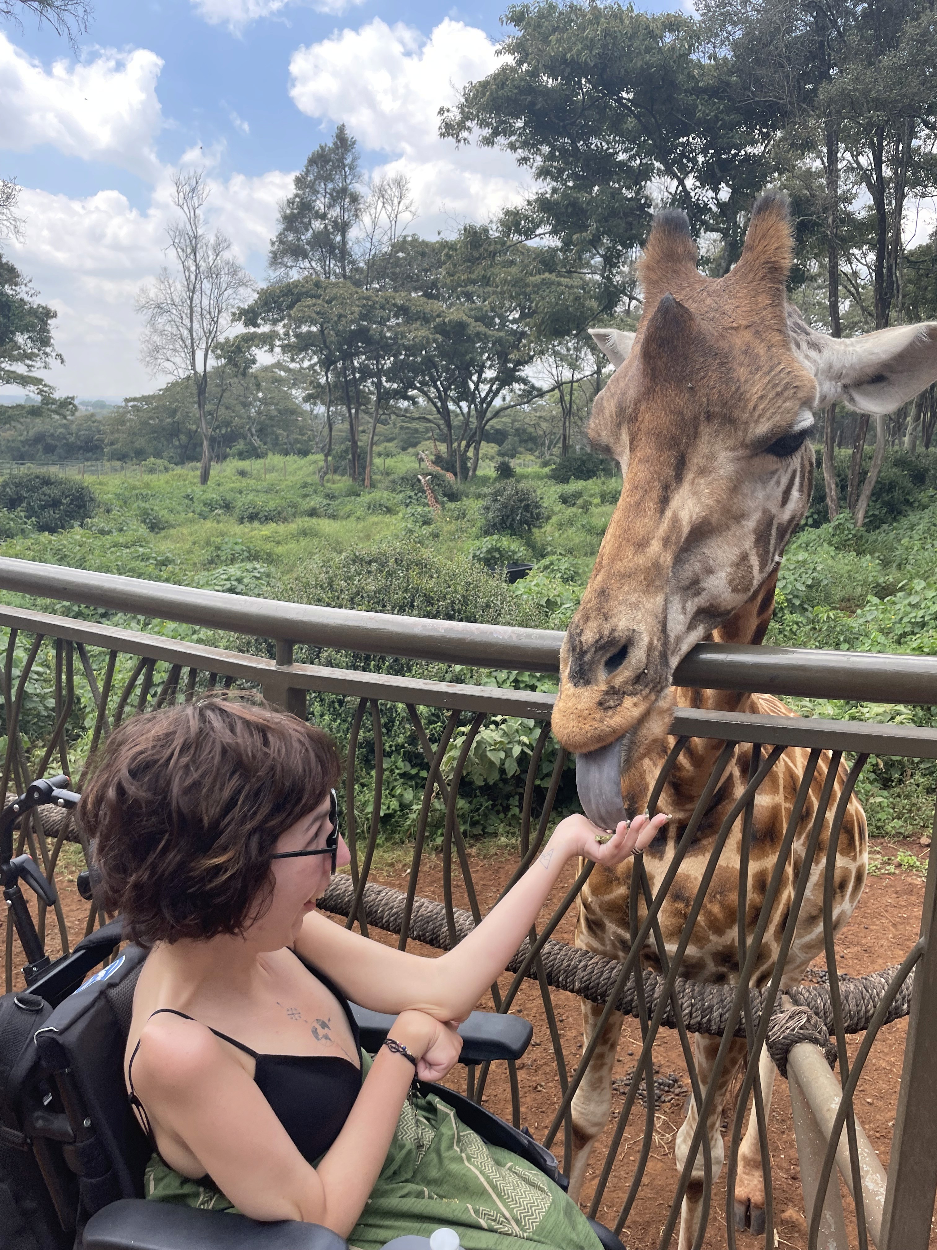 long-coated black and white dog during daytime