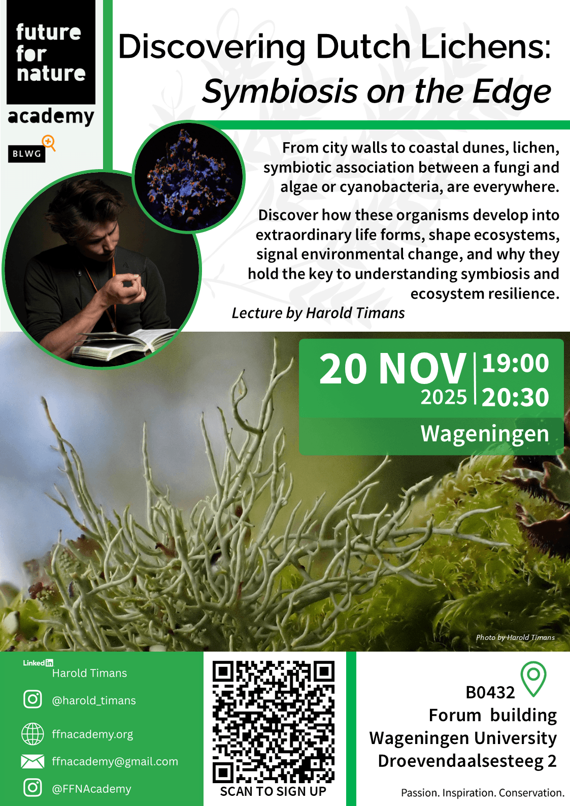 Descriptive Poster about the Mushroom Marvels Event.