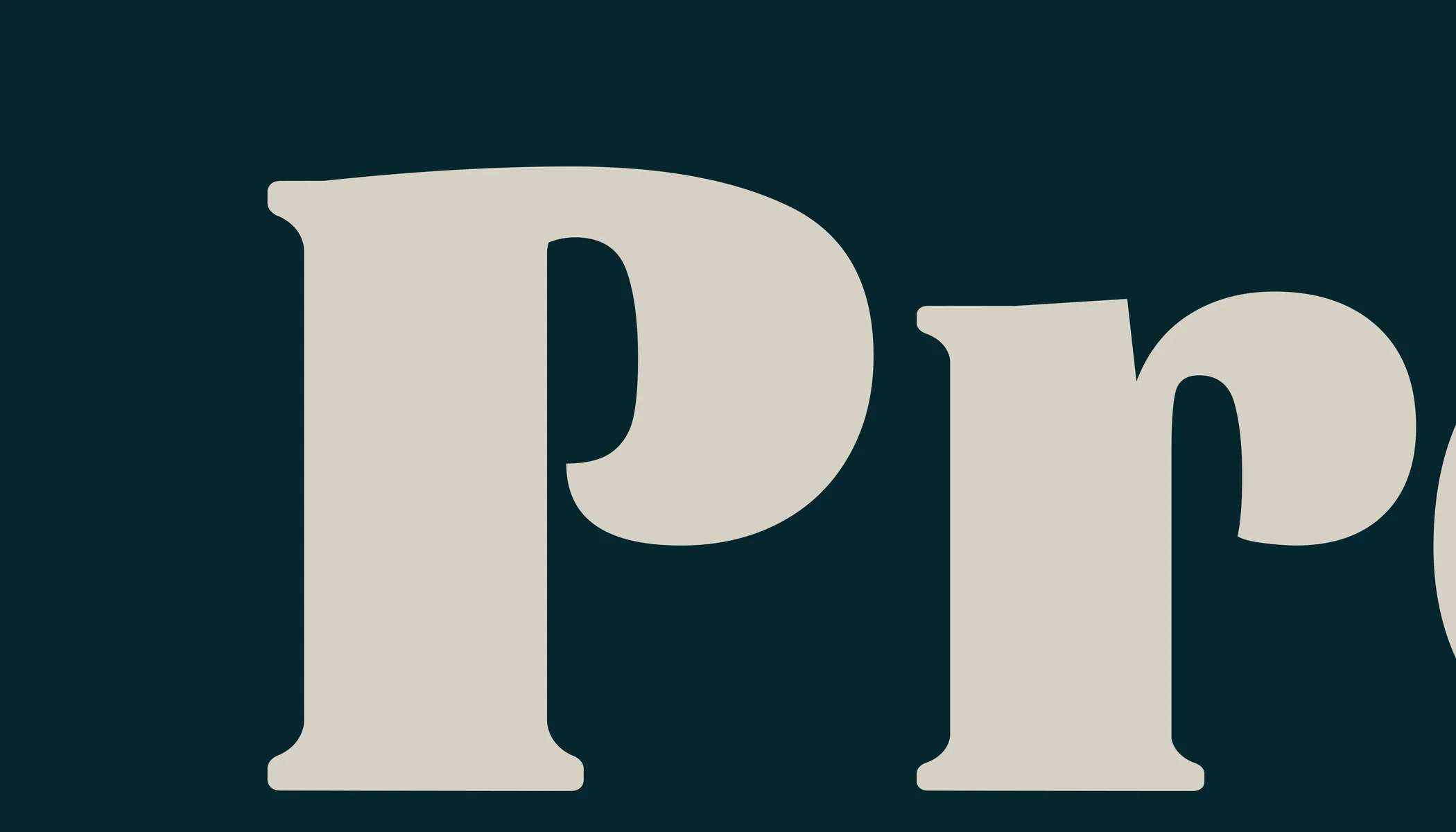 Provida rebrand wordmark detail 1