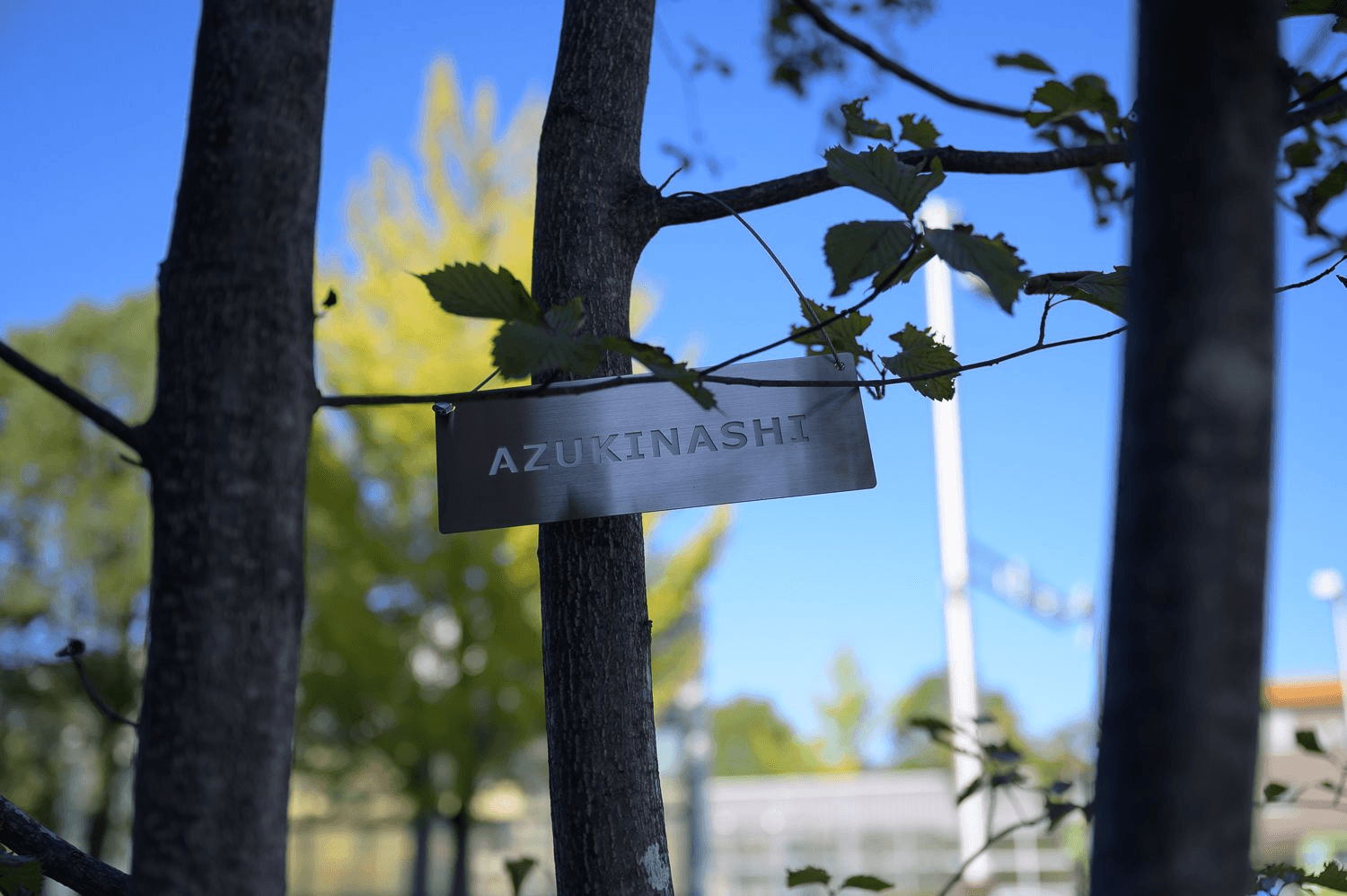 樹種が書かれたプレートにも抜かりがない