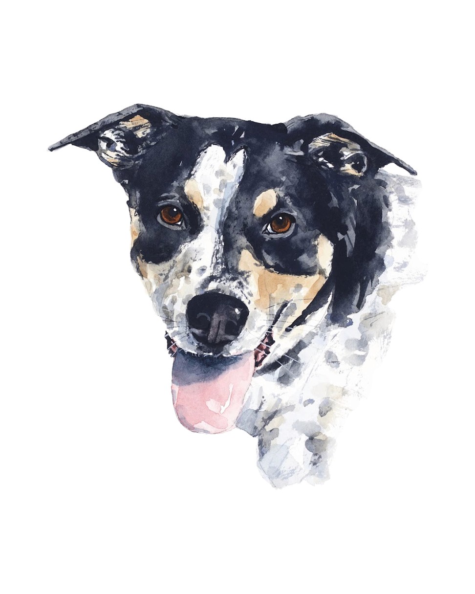 Watercolour painting of dog with tongue out
