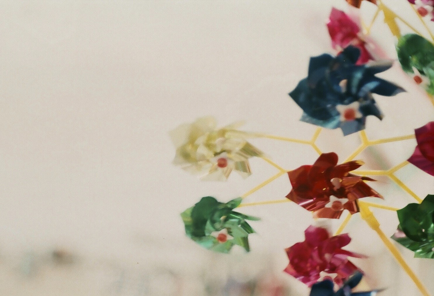 Close-up of joshua tree branches against a clear sky.