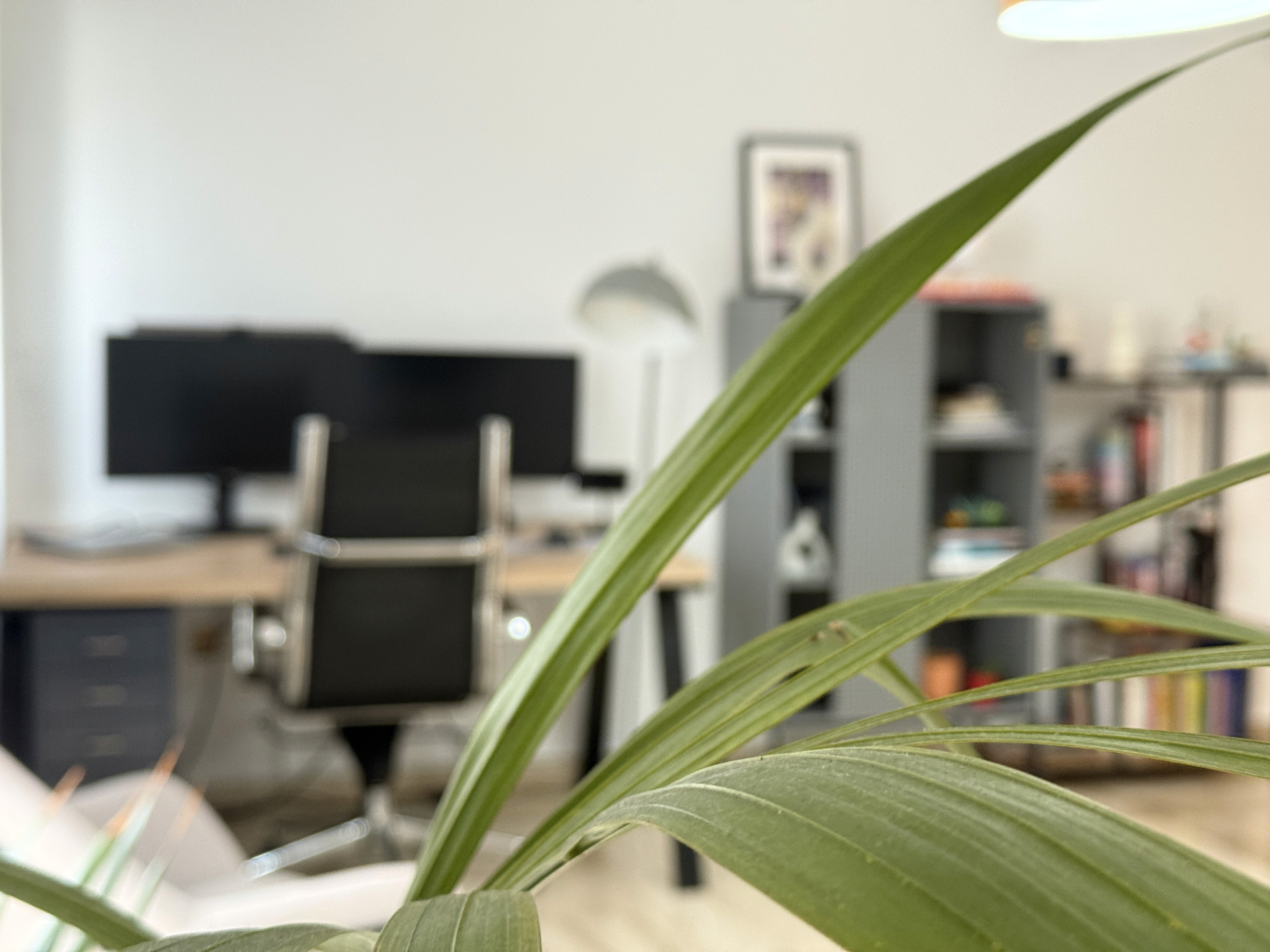 Este Studio CGI Offices in Valencia