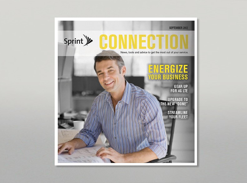 sprint connection b2b