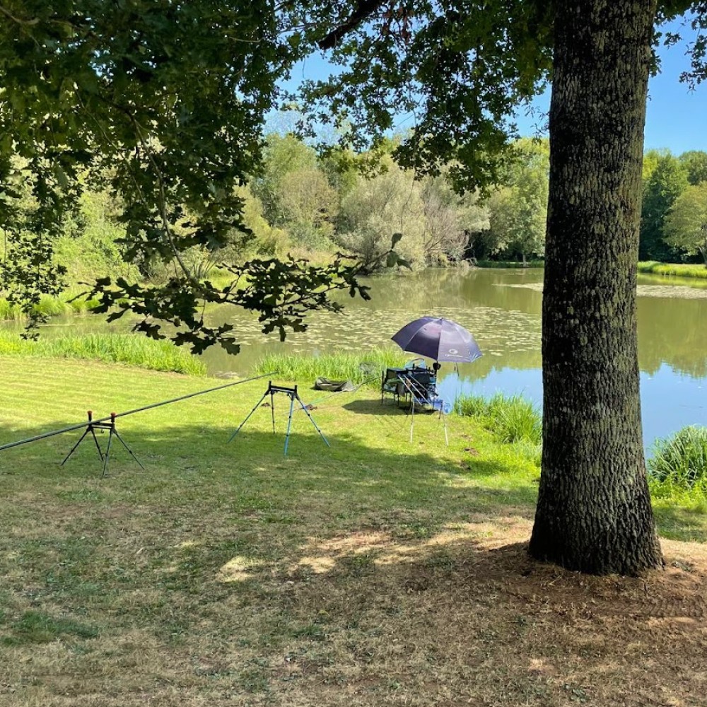 Spot de pêche installé au bord de l'étang de la brame