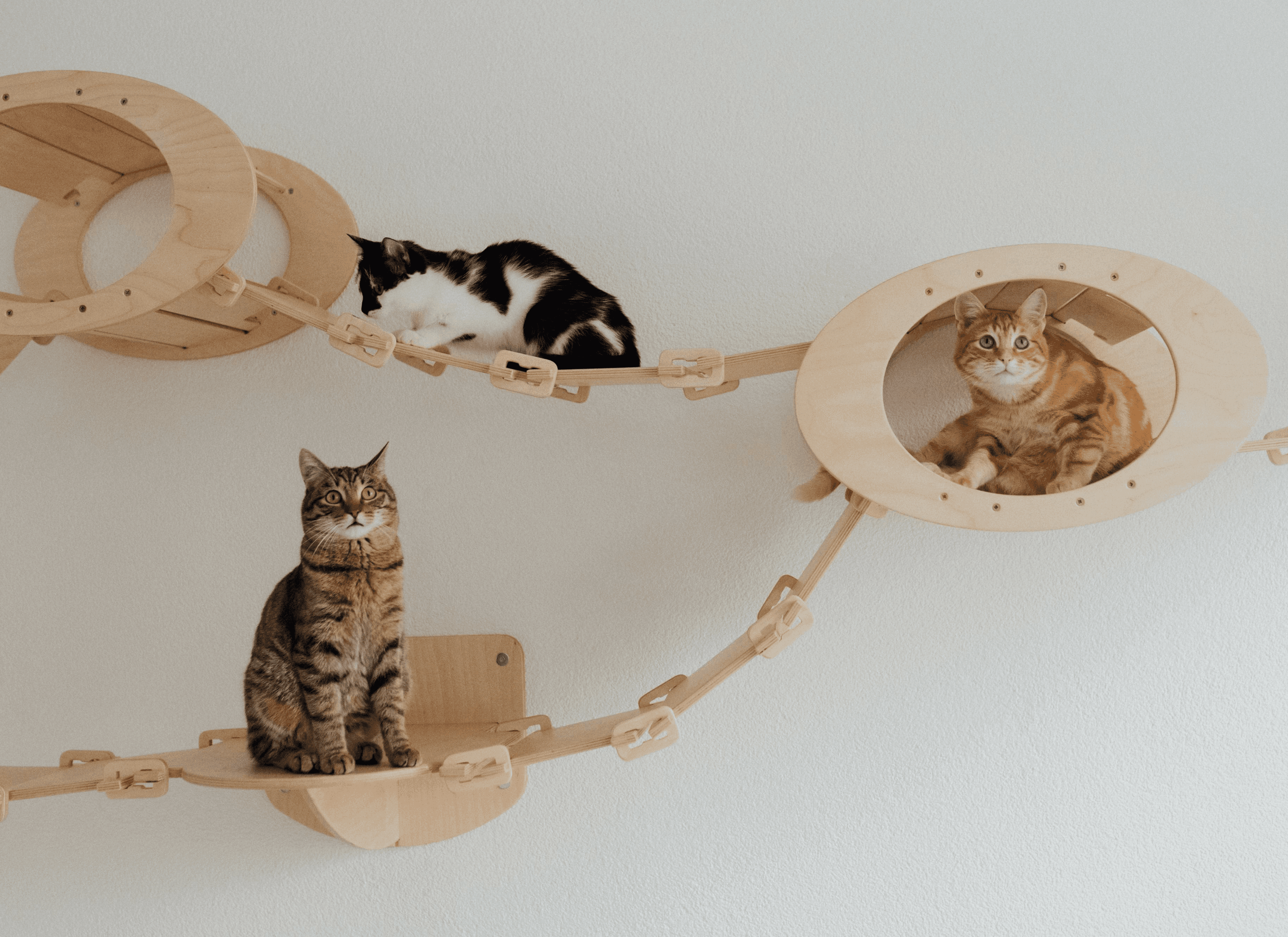 Close-up of hands adjusting green, cream, and orange Trailblaze Runner sneakers with bold sole design, worn on a textured red track surface.