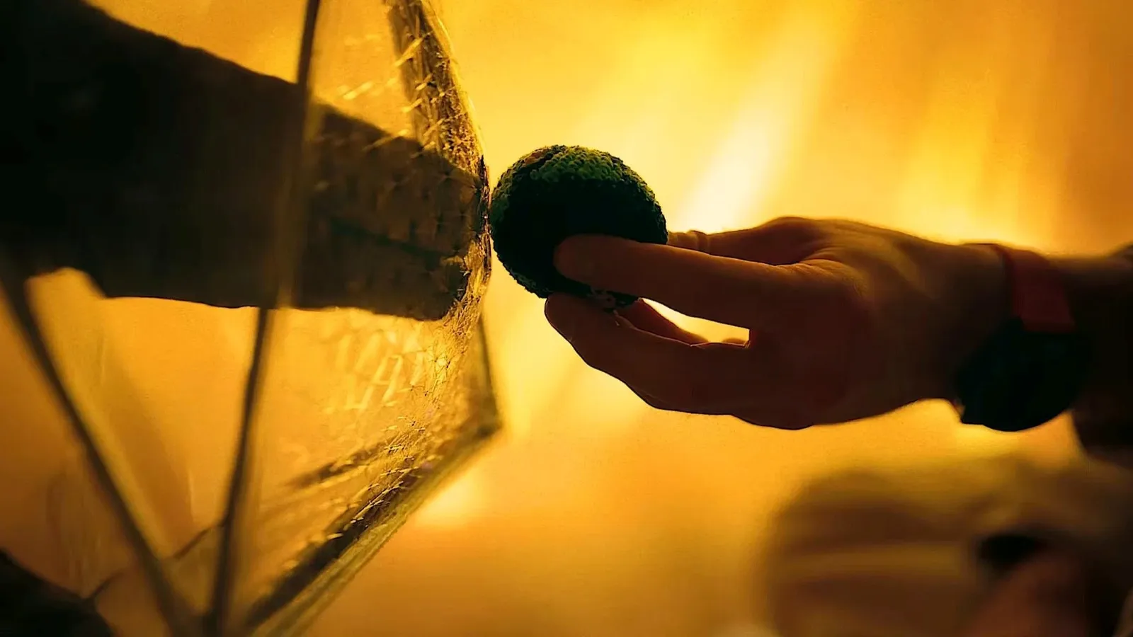 A hand carefully places a blue, textured ball into a reflective, geometric container, with a warm golden light creating a dramatic and artistic ambiance.
