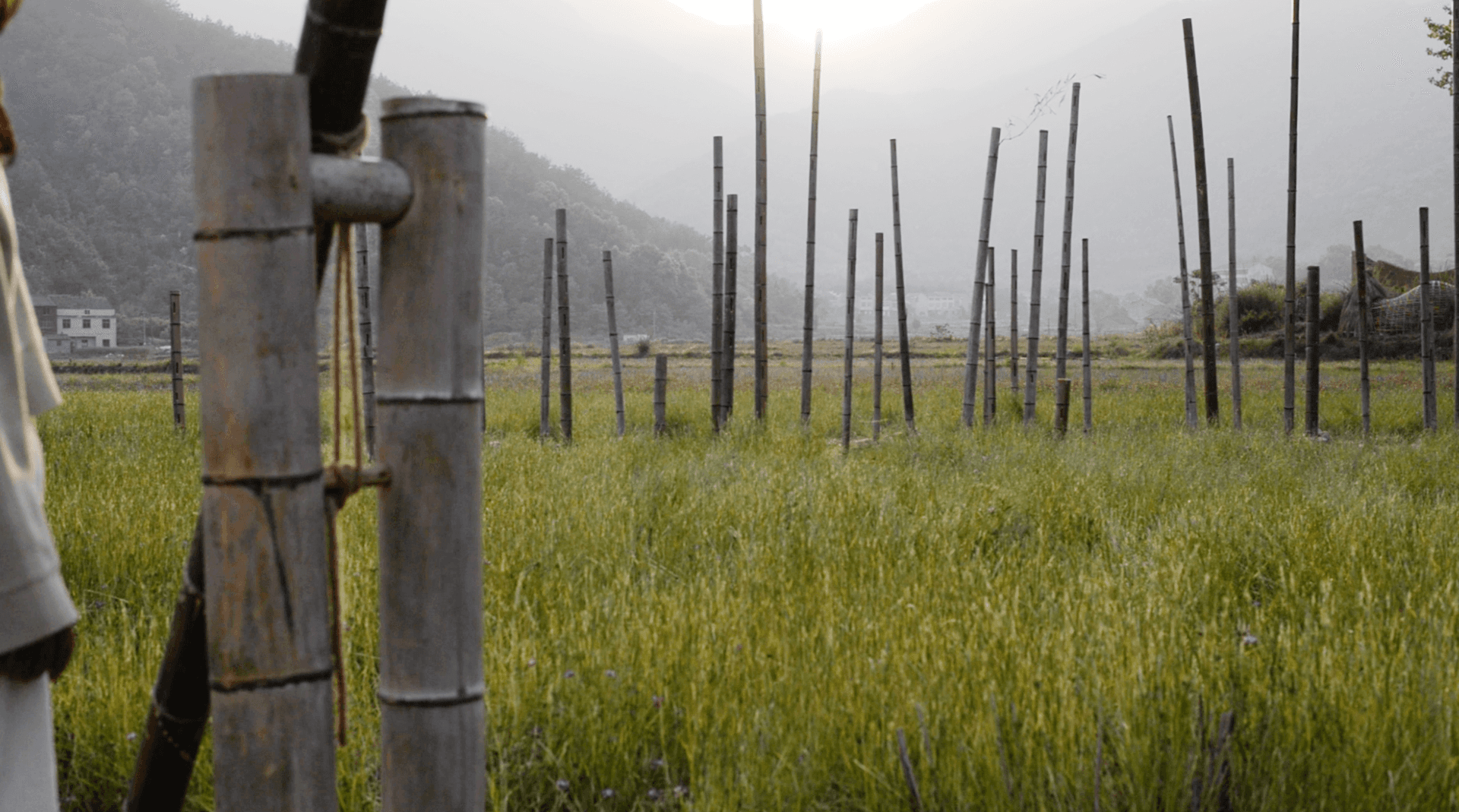 bamboo art installation in a field