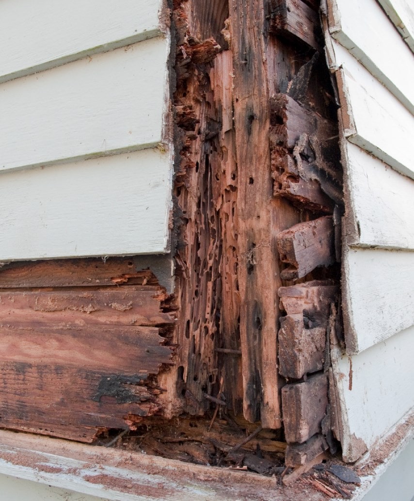 Profession Rot Repair Services in Marysville, WA