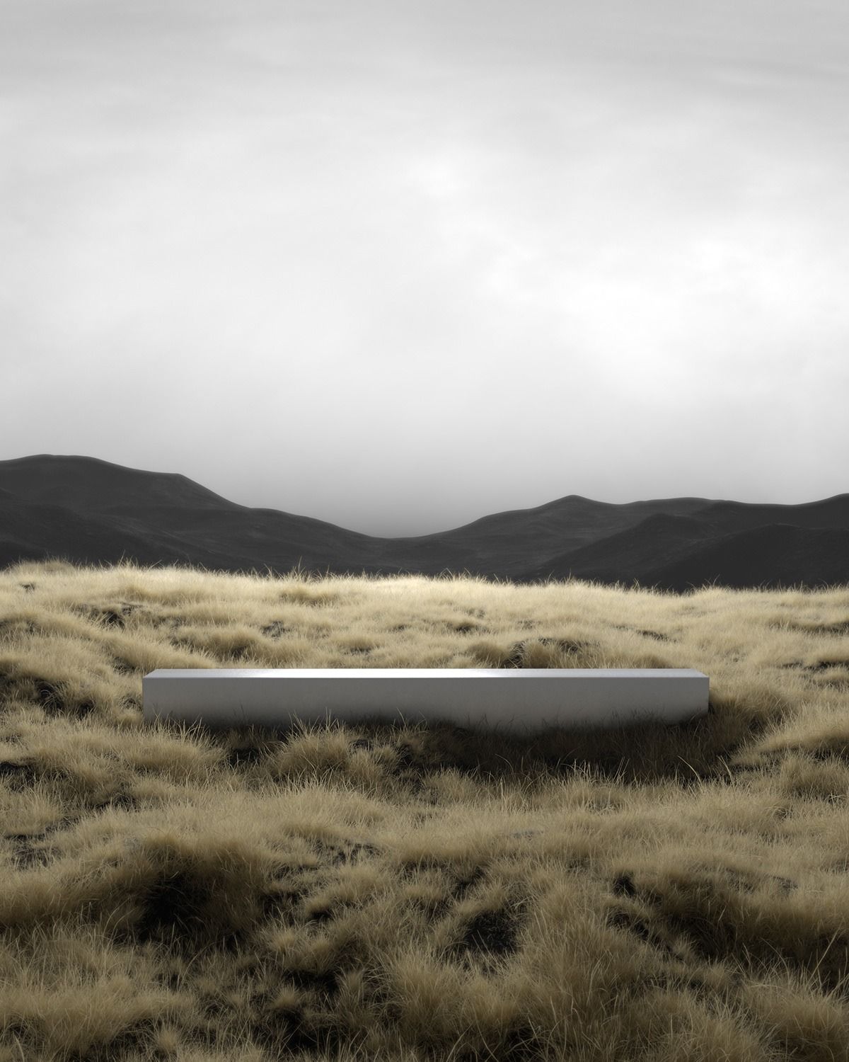 Explore more about us