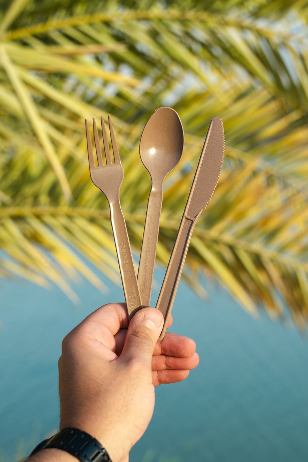 A hand holding Palmade cutlery against sunlit palm fronds