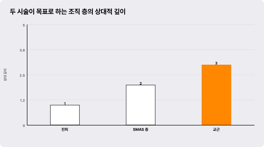 두 시술이 목표로 하는 조직 층의 상대적 깊이