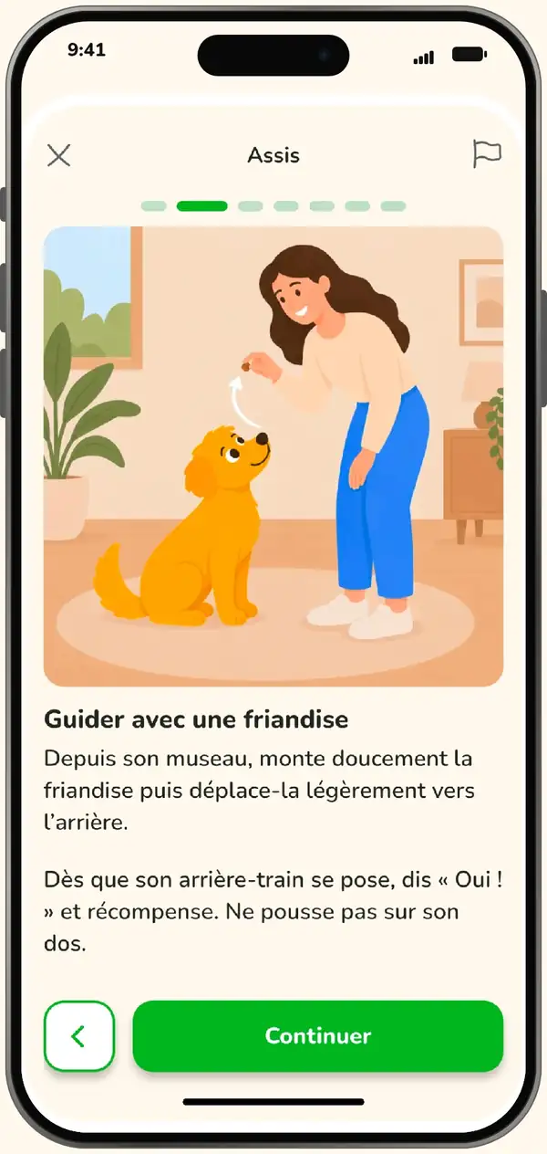La leçon illustrée Assis de Kyno sur iPhone