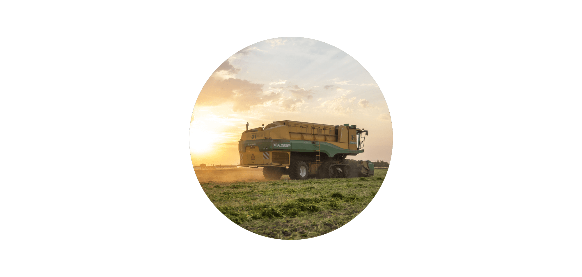 A Ploeger harvesting machine working in a green field at sunset, kicking up dust as it harvests crops, displayed in a circular crop against a black background