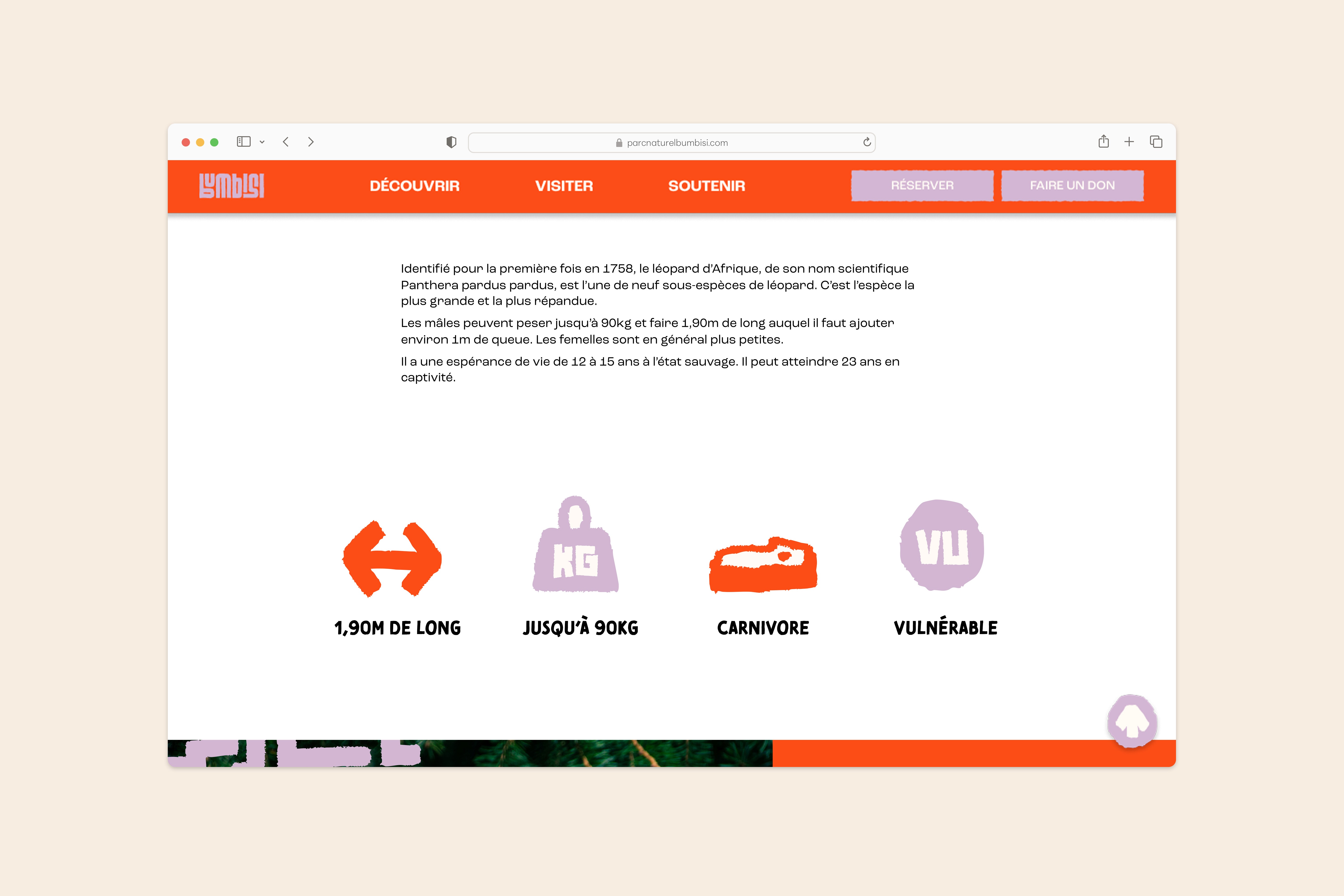 Page sur léopard sur le site