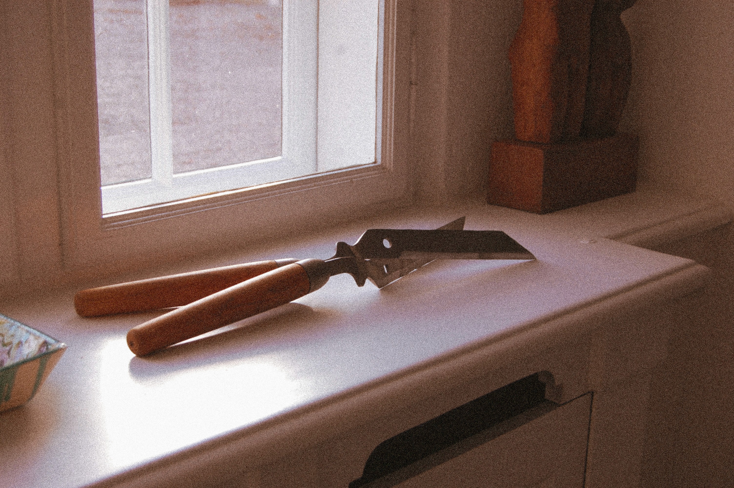 portrait photography