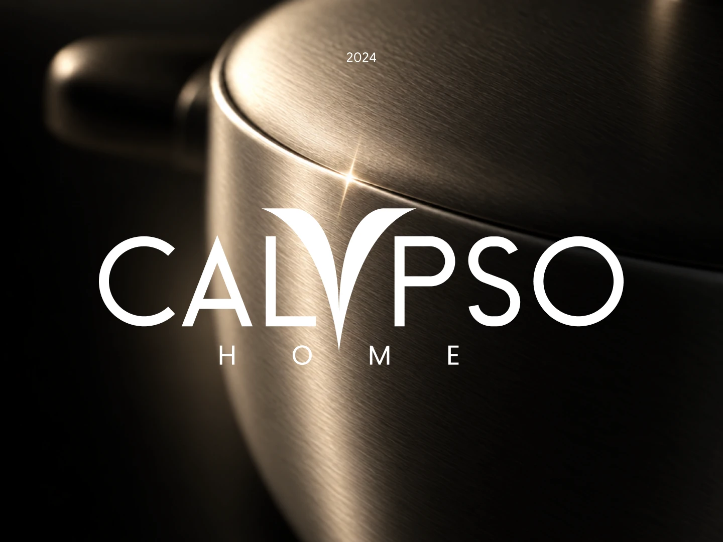 Calypso Home Logo design