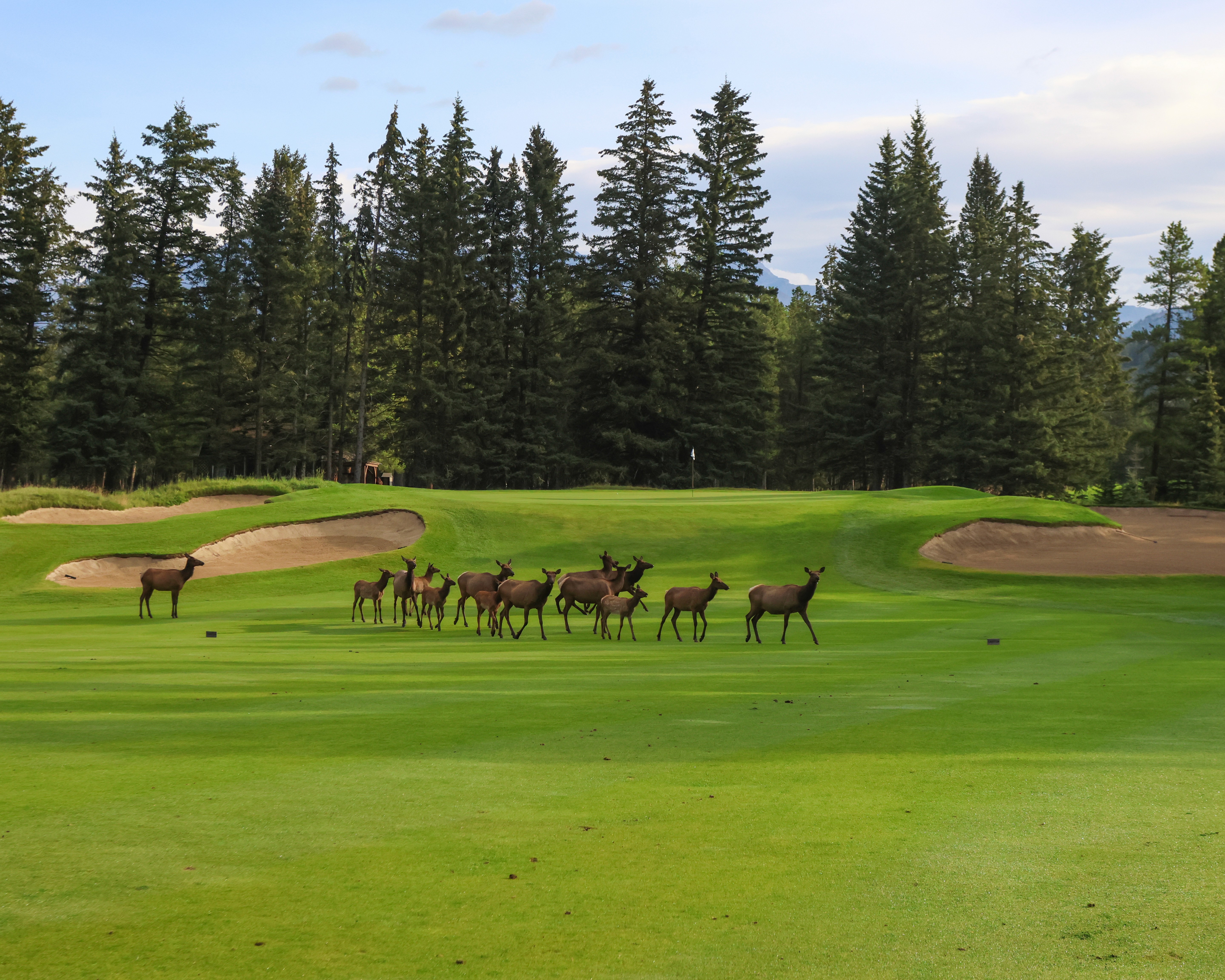 A lady with surfboard