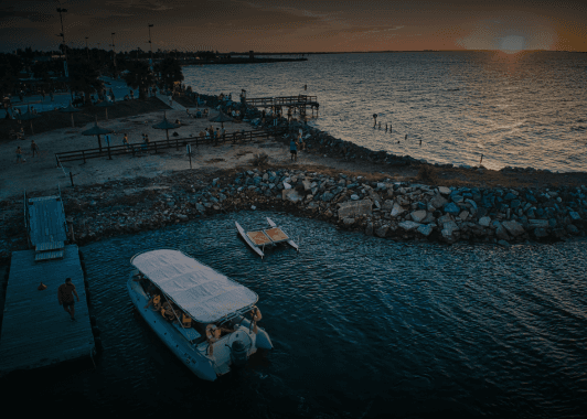 Customer testimonial