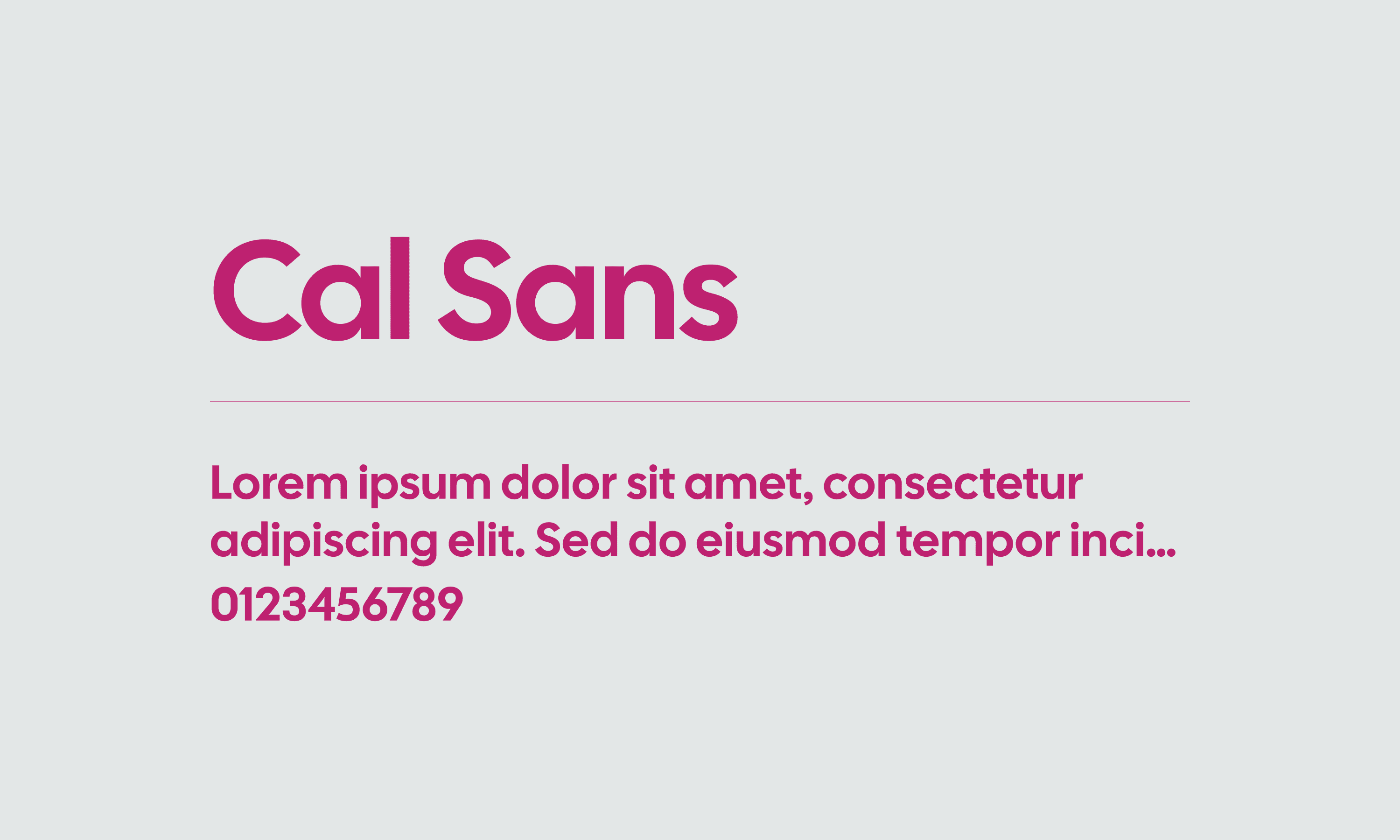 Cal Sans
