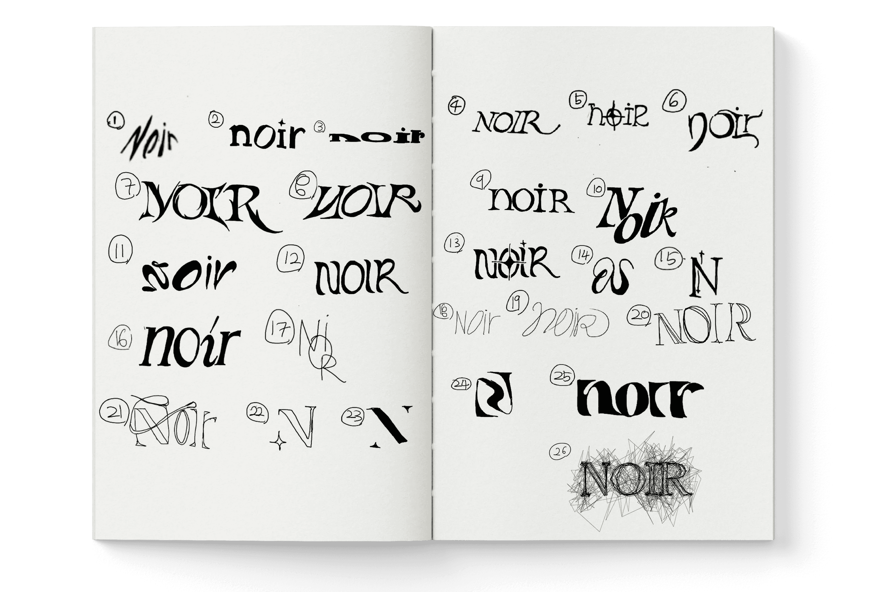 Project Oblique Reception Photograph