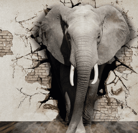 School Design School Renovation Building 校園升級 學校裝修 翻新學校 學校設計 學校工程 保養校園