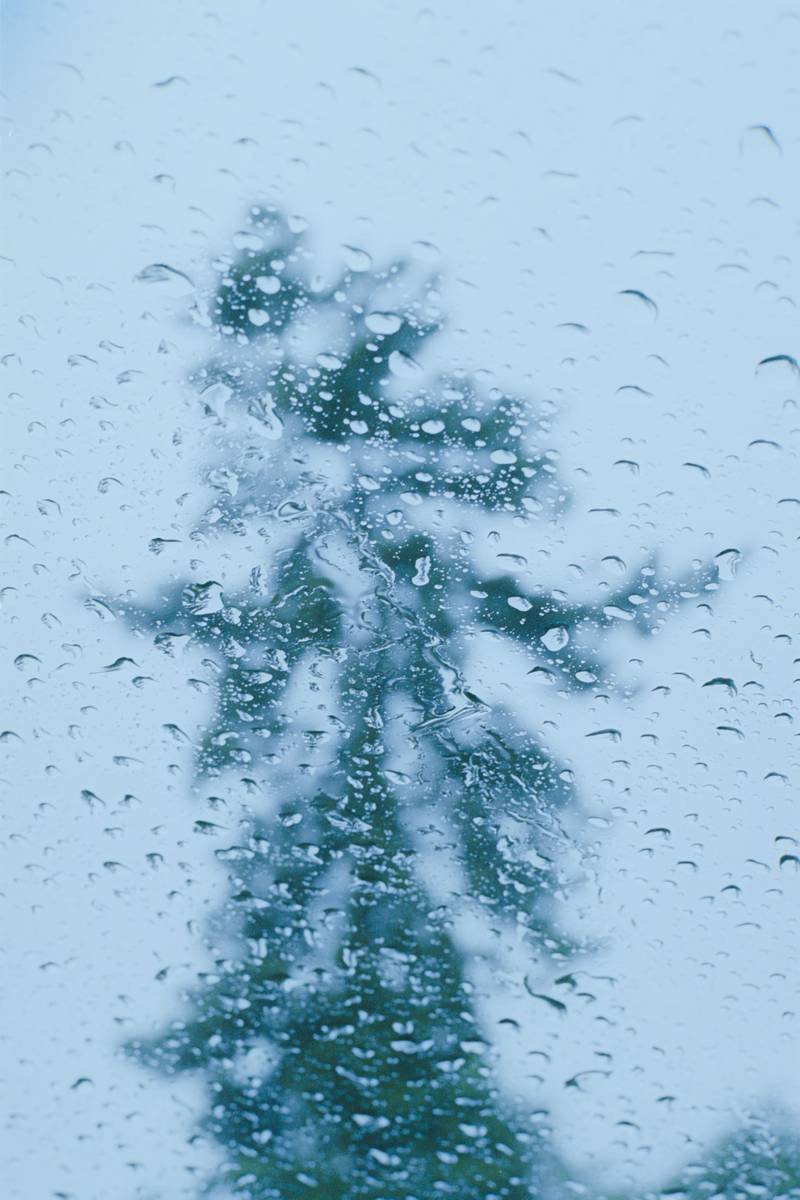 Abstract photograph 04