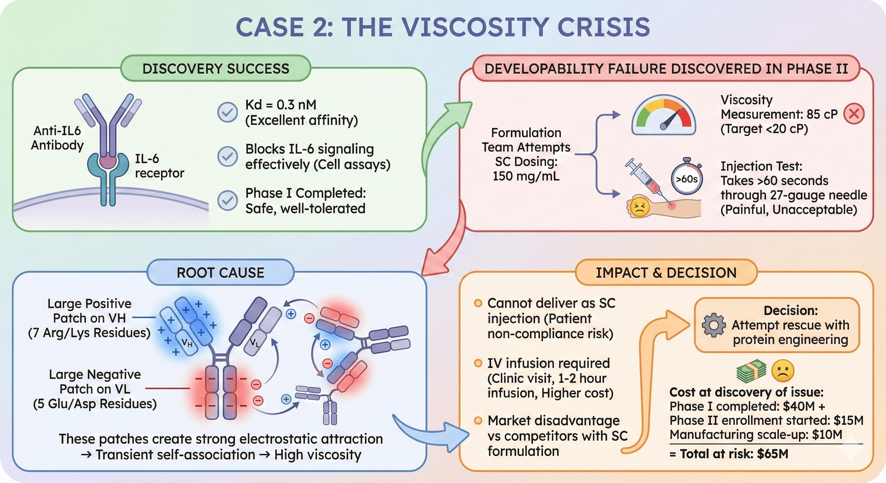 Diagram Showcasing The Viscosity Problem and Size for Antibodies