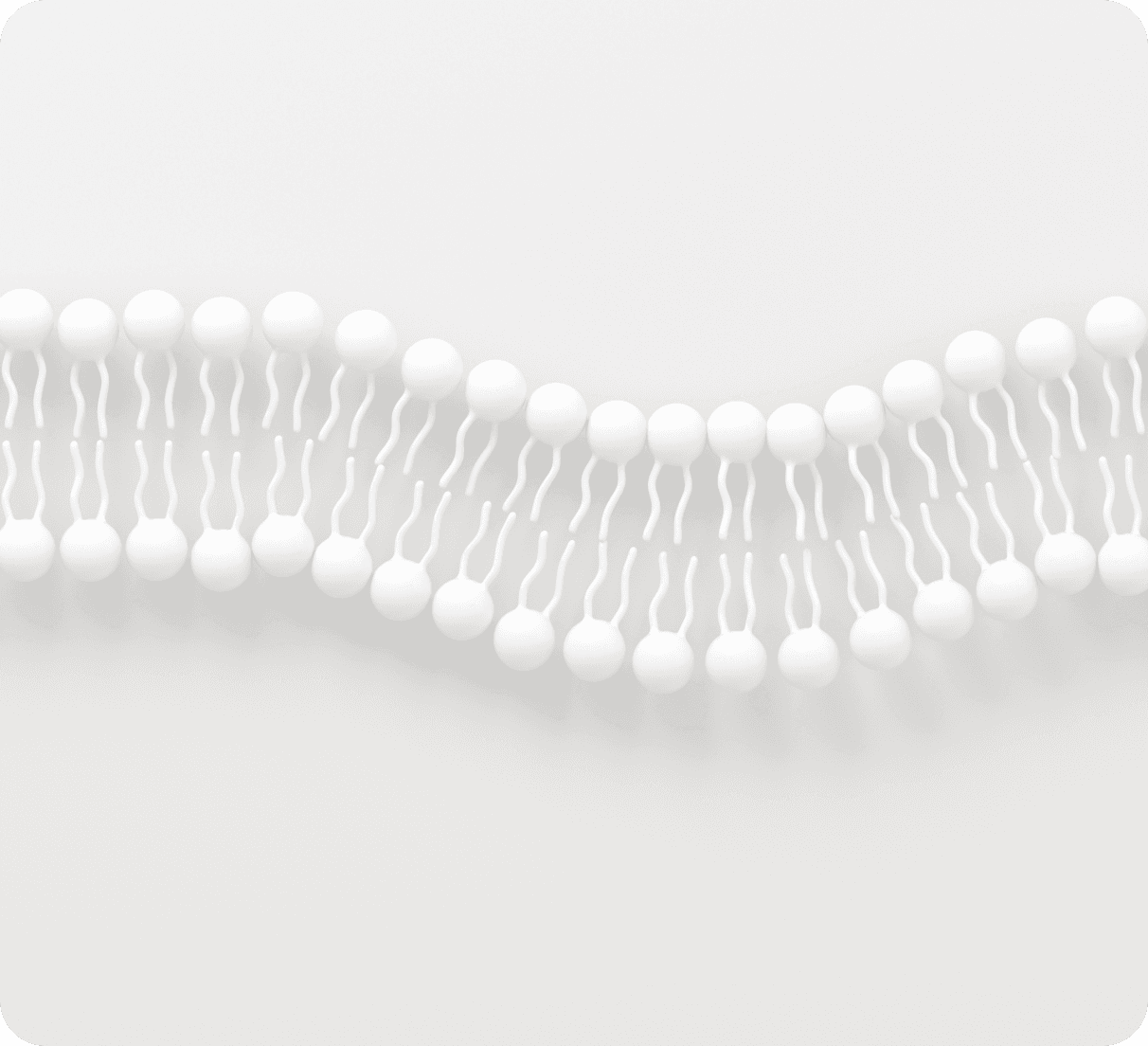 The role of AI in personalized medicine