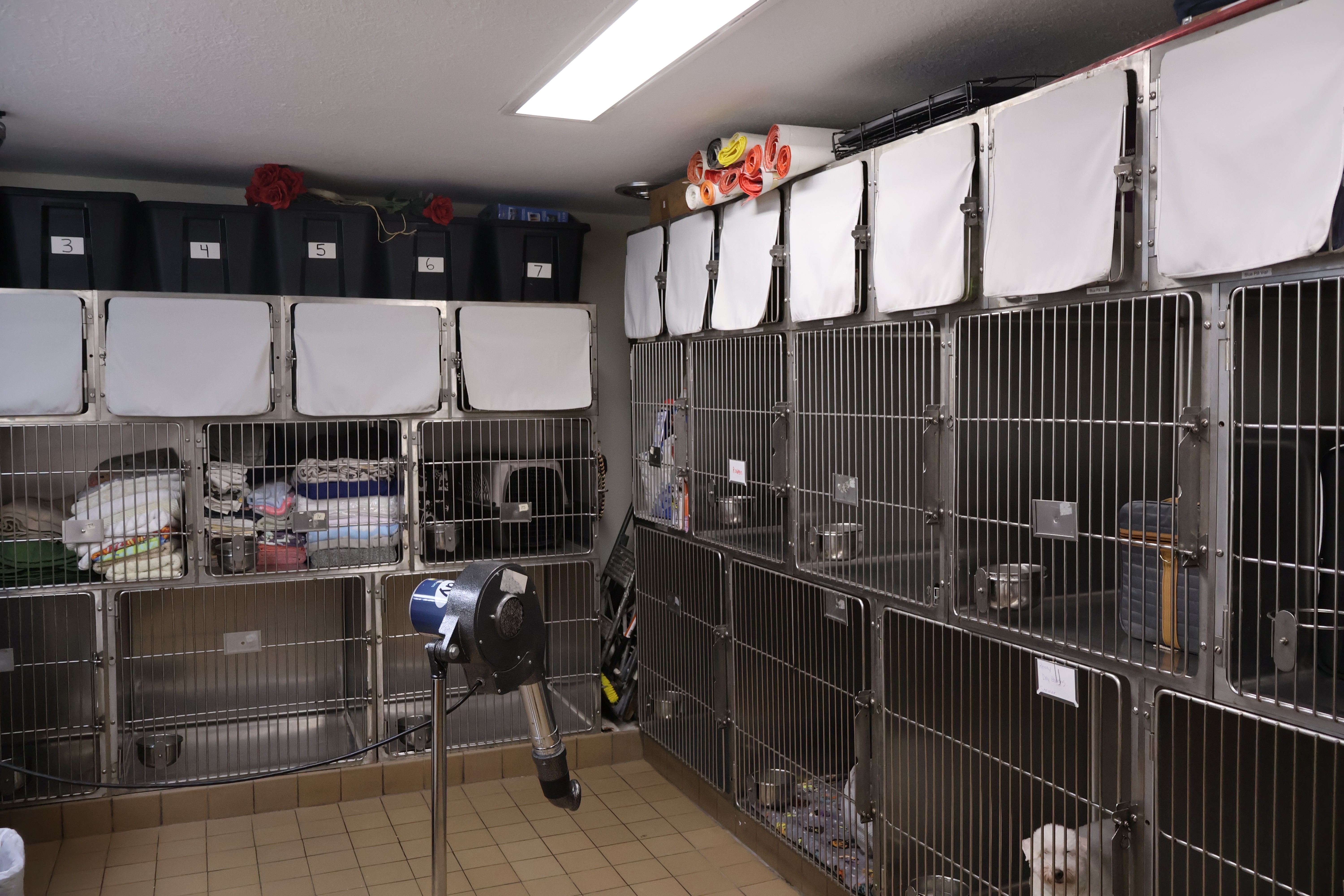 boarding room with several kennels for pets