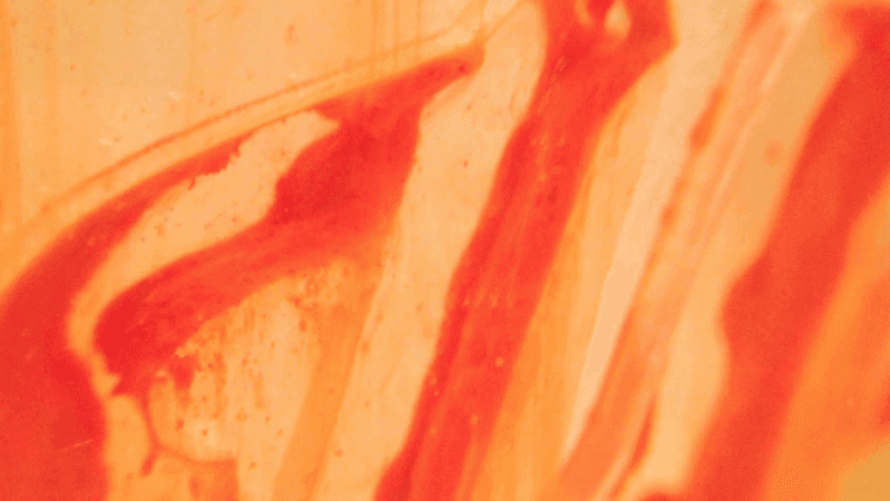 red close up image