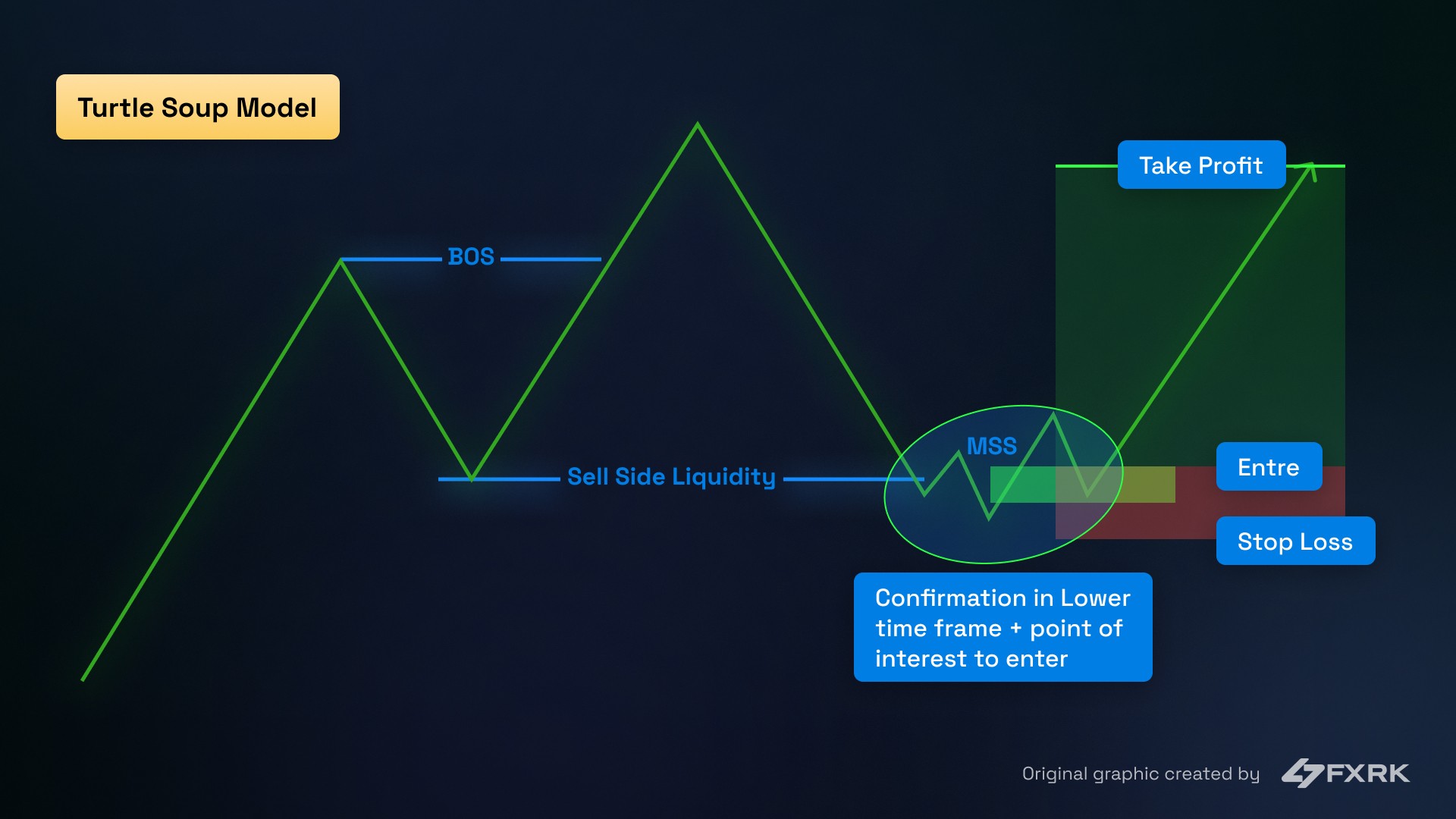 Turtle Sopu Model graphic