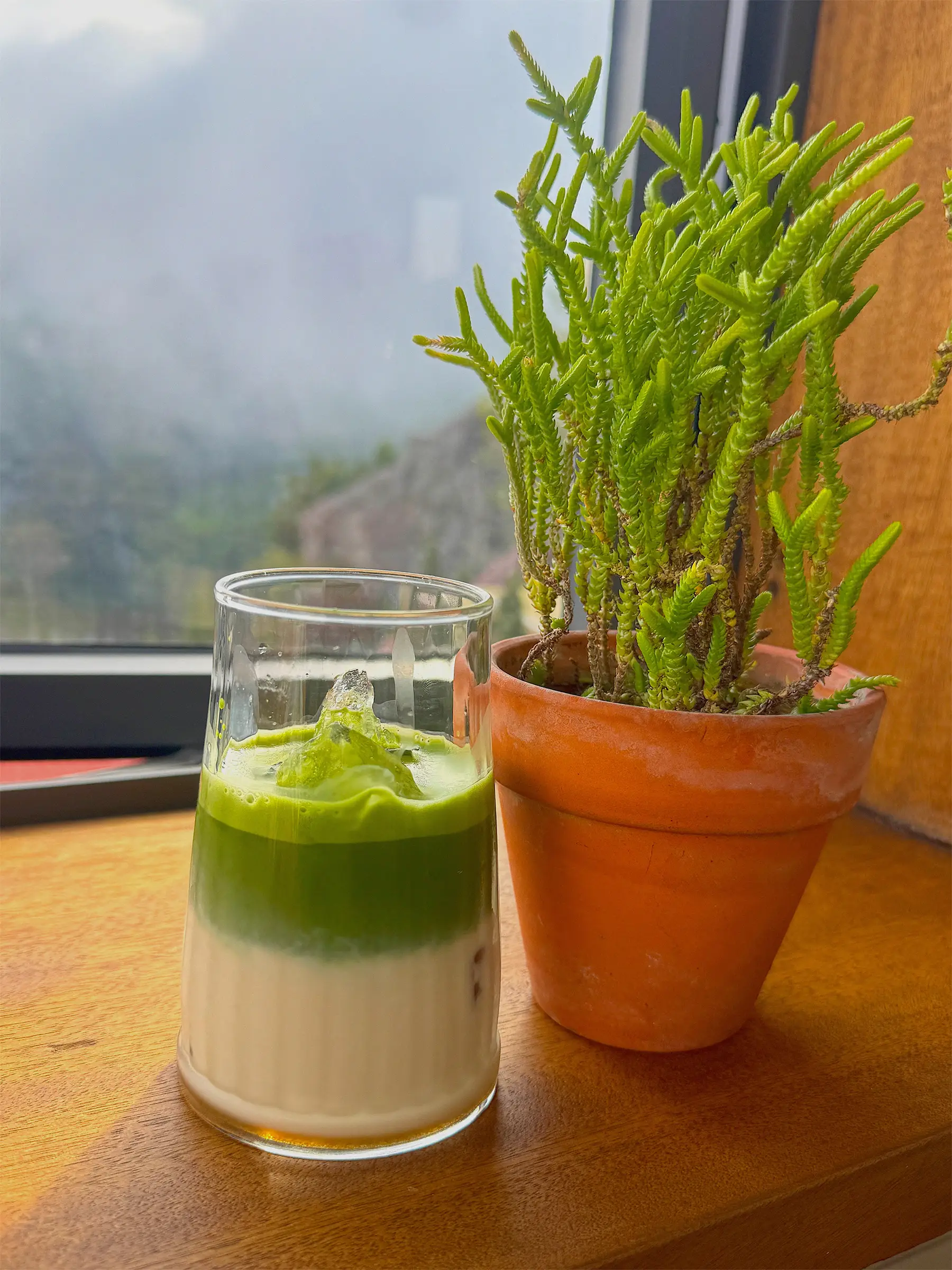 New To Matcha?