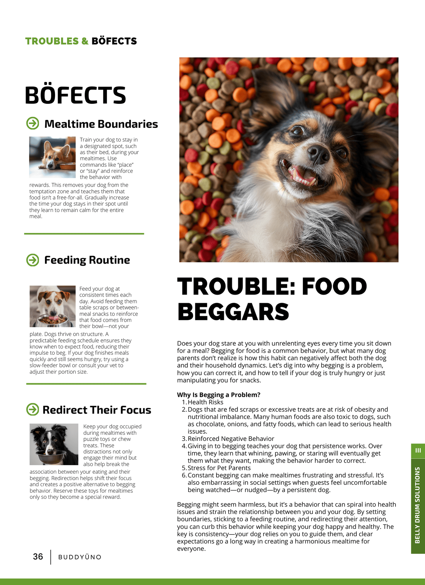 buddyuno, dog magazine, page 36